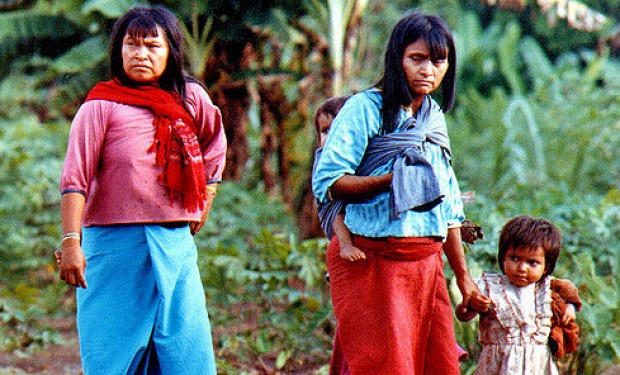 Amazzonia: nuovi cammini per la Chiesa e per una ecologia integrale
